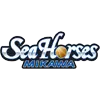 三河海马